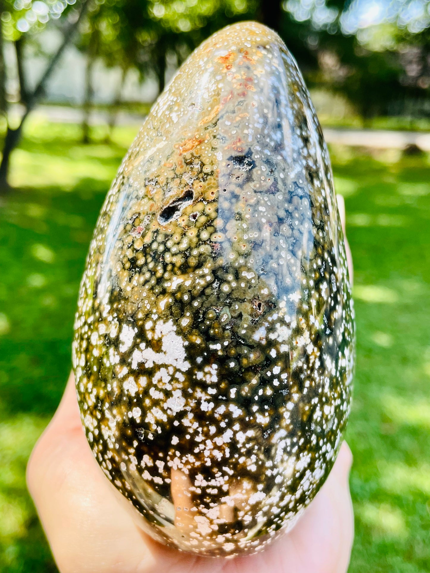 Earthy Orbicular Ocean Jasper Freeform - Large