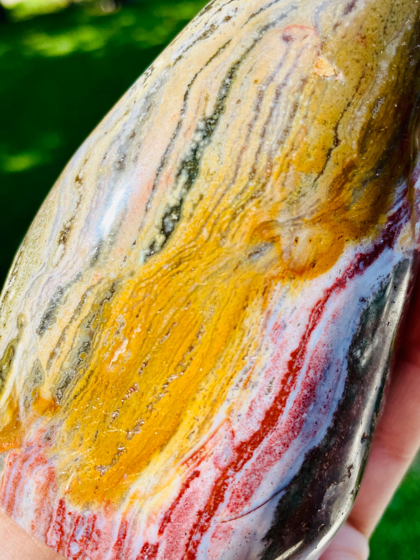 Rainbow Trout Ocean Jasper Freeform - Medium