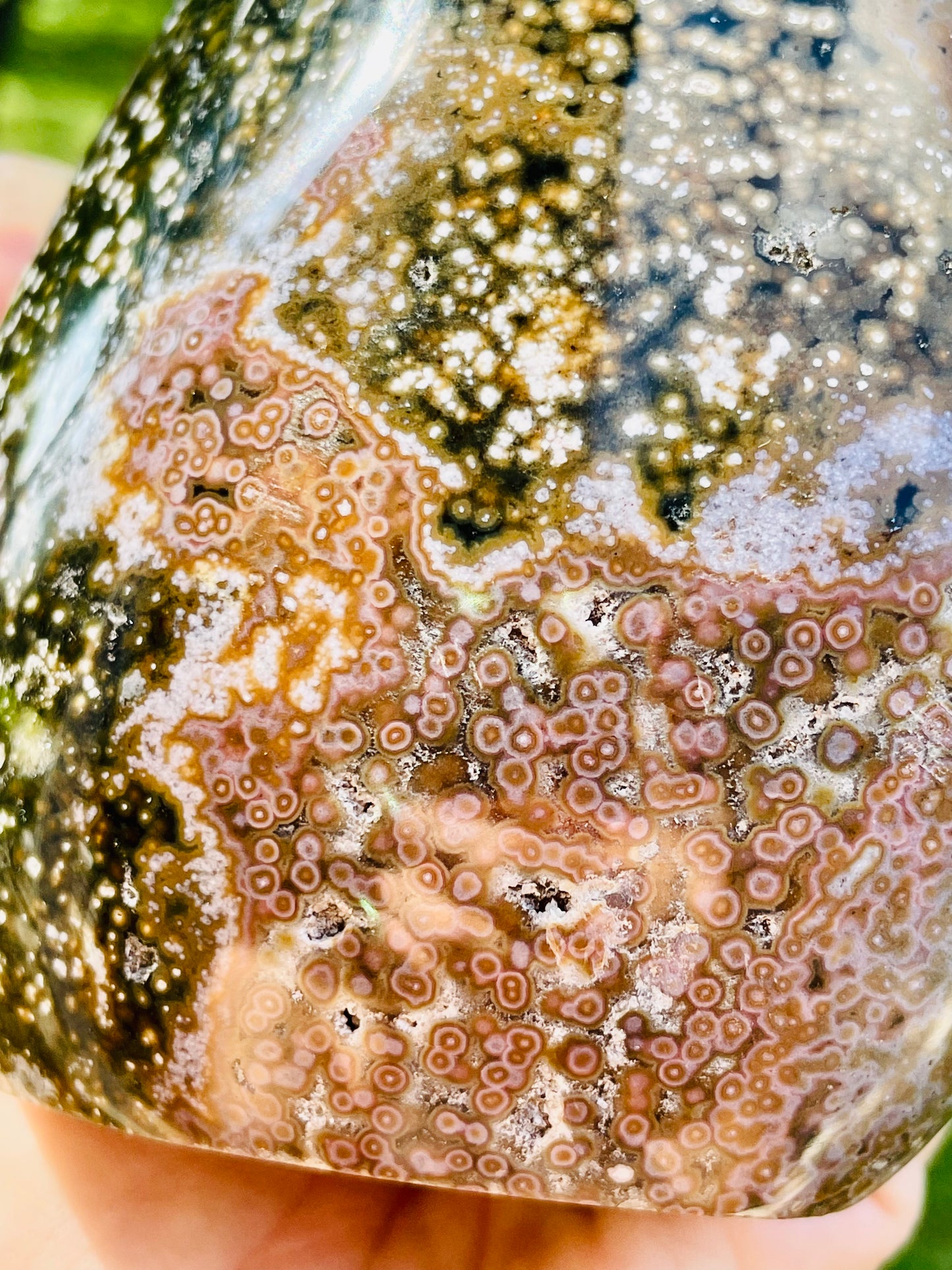 Earthy Orbicular Ocean Jasper Freeform - Large