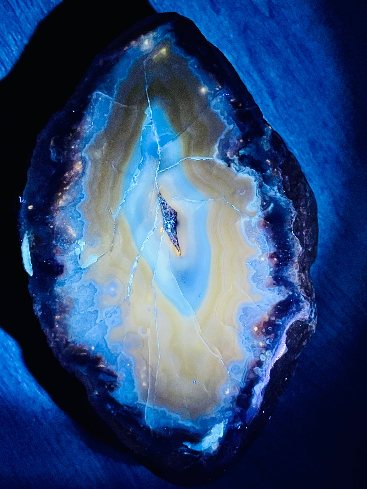 Kentucky Agate Nodule