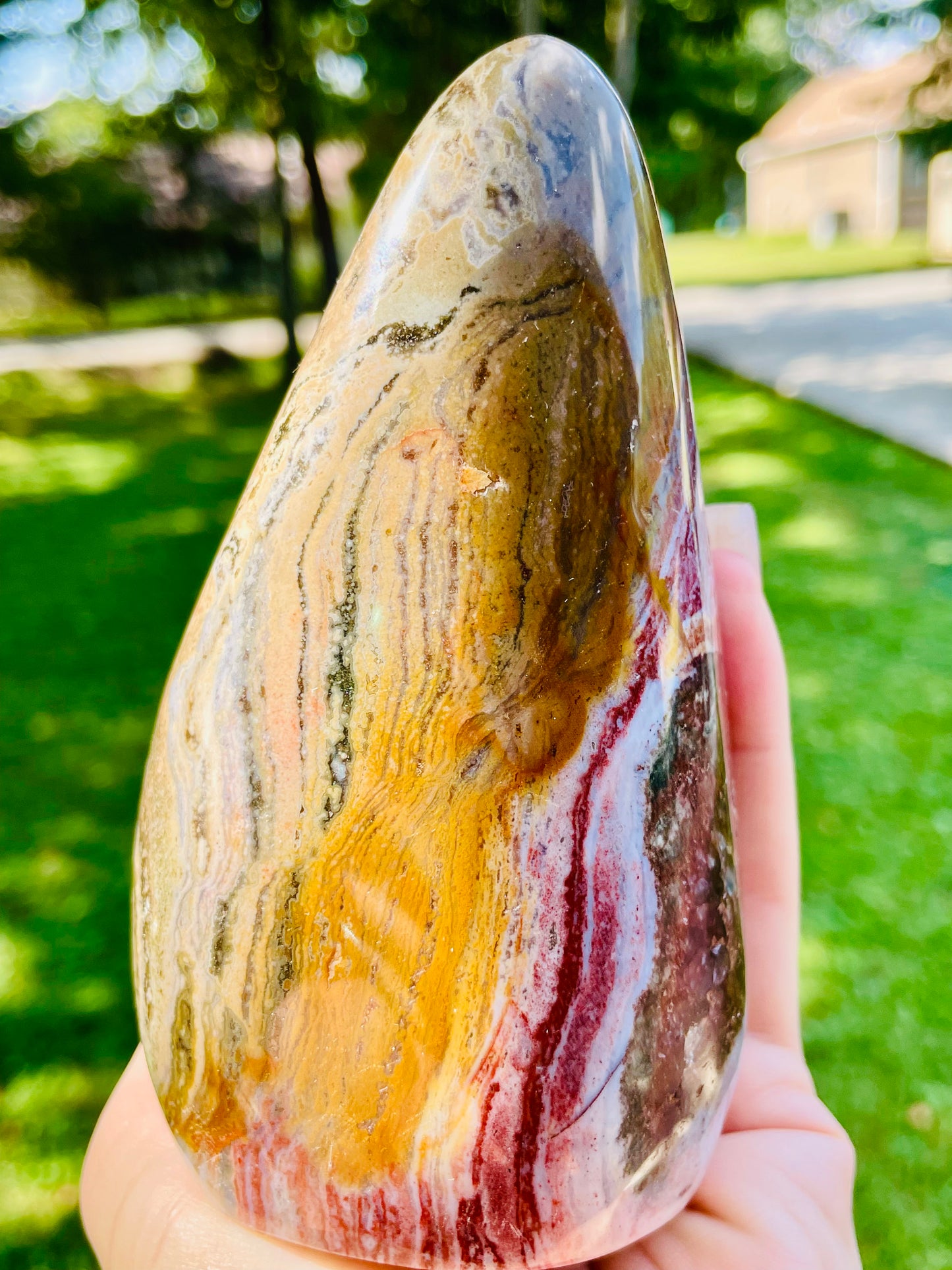 Rainbow Trout Ocean Jasper Freeform - Medium