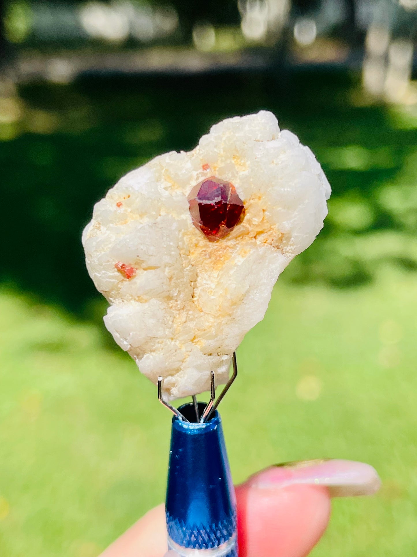 Single Dark Star Garnet - Gilgit, Pakistan