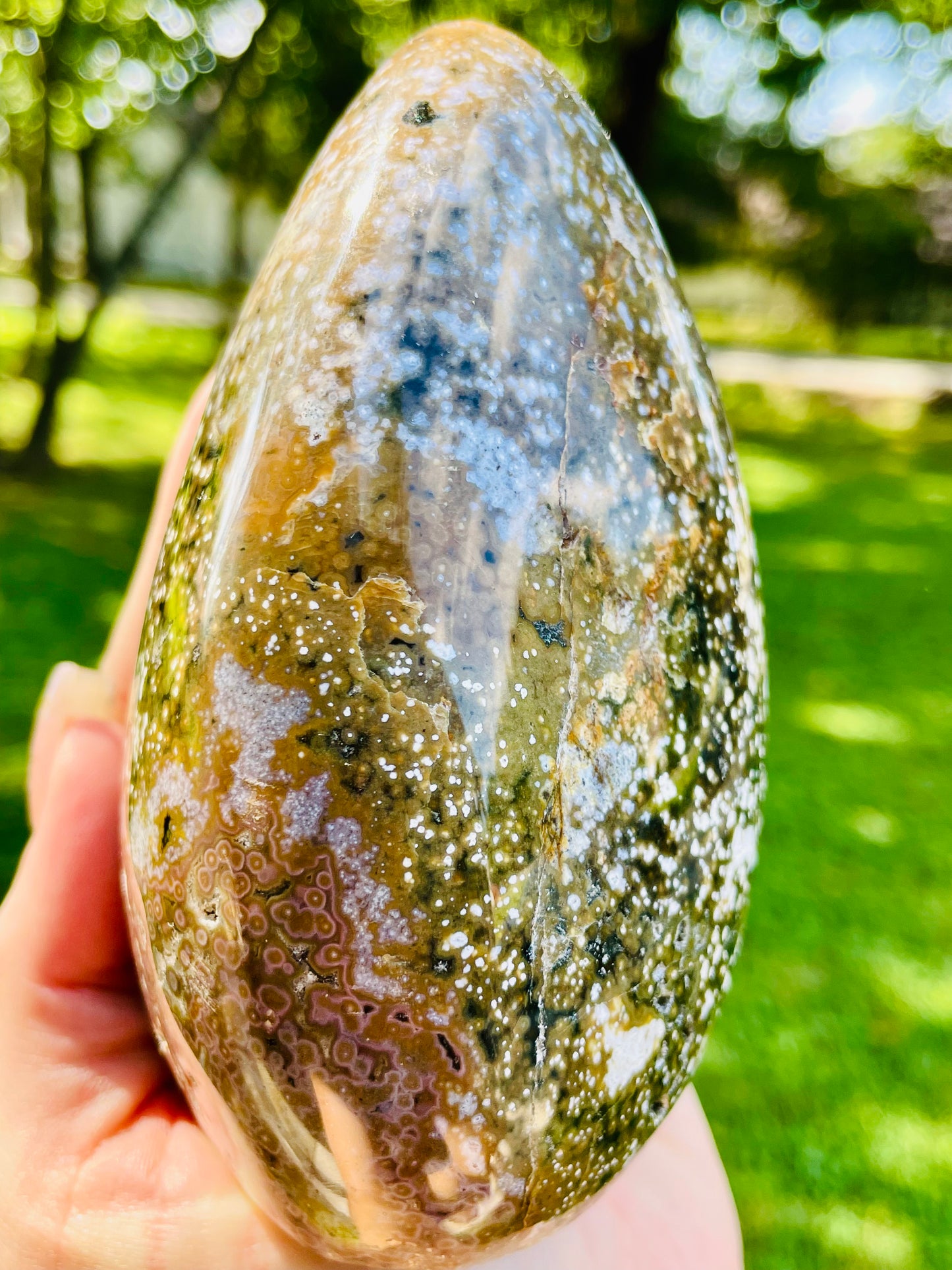 Earthy Orbicular Ocean Jasper Freeform - Large