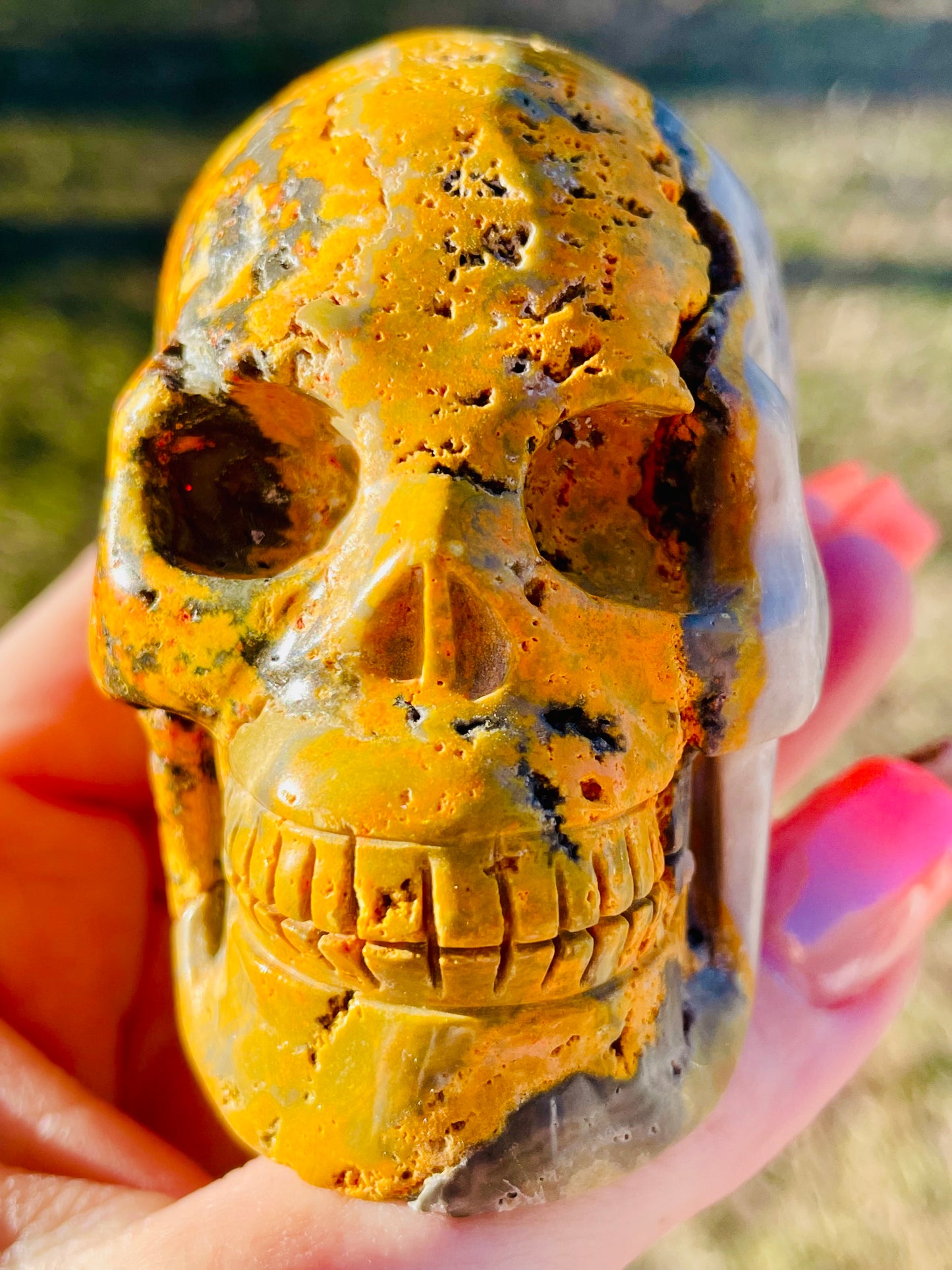 Bumblebee Jasper Skull