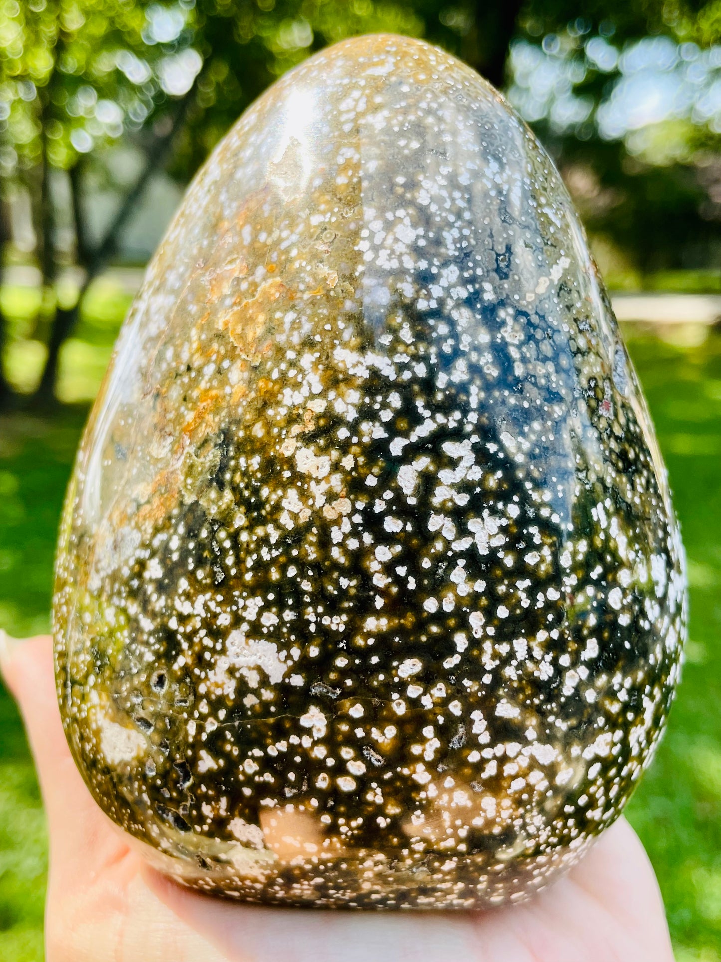 Earthy Orbicular Ocean Jasper Freeform - Large