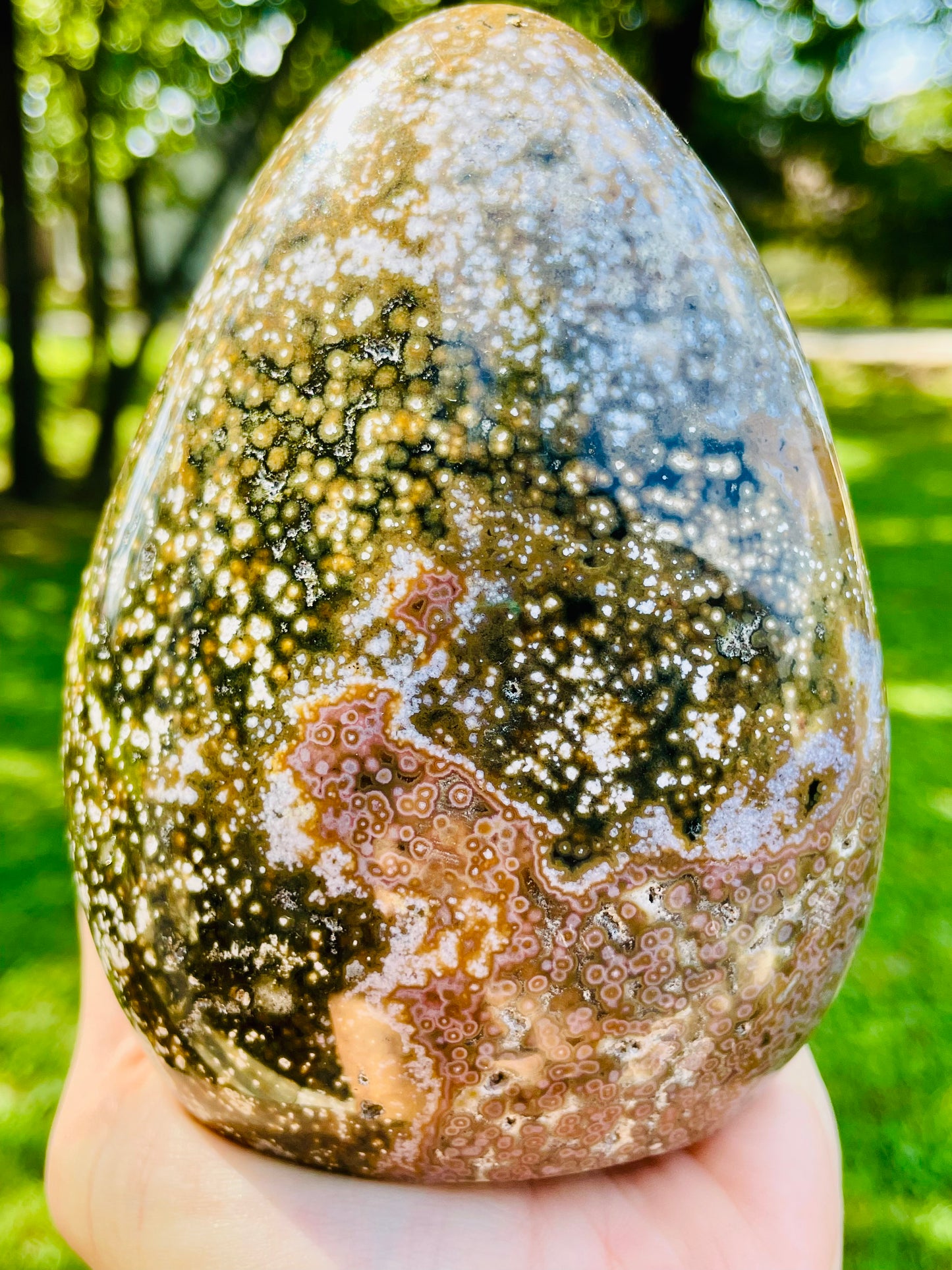 Earthy Orbicular Ocean Jasper Freeform - Large