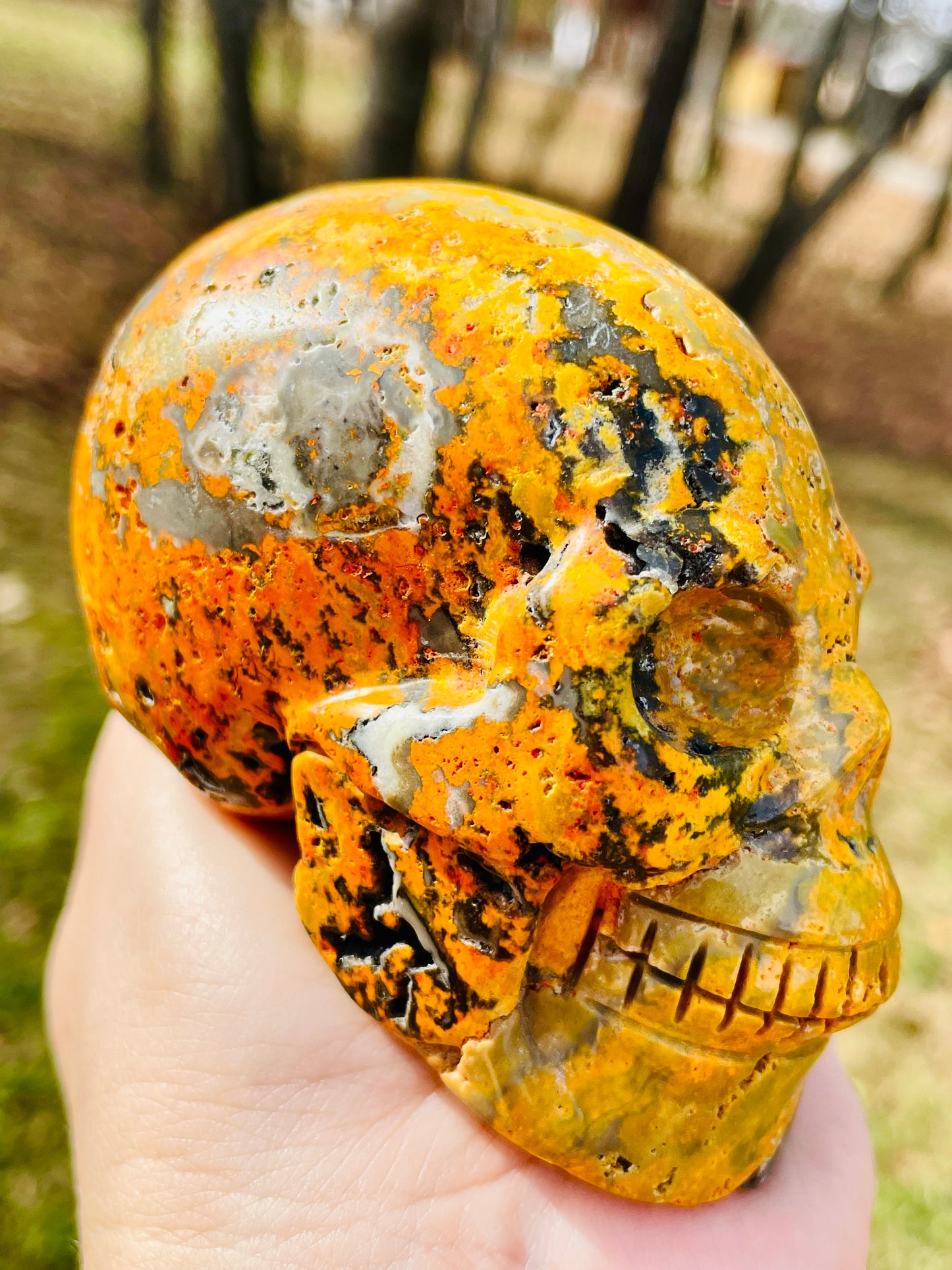 Bumblebee Jasper Skull