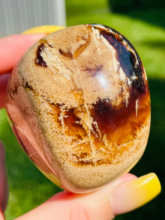Indonesian Coffee Amber