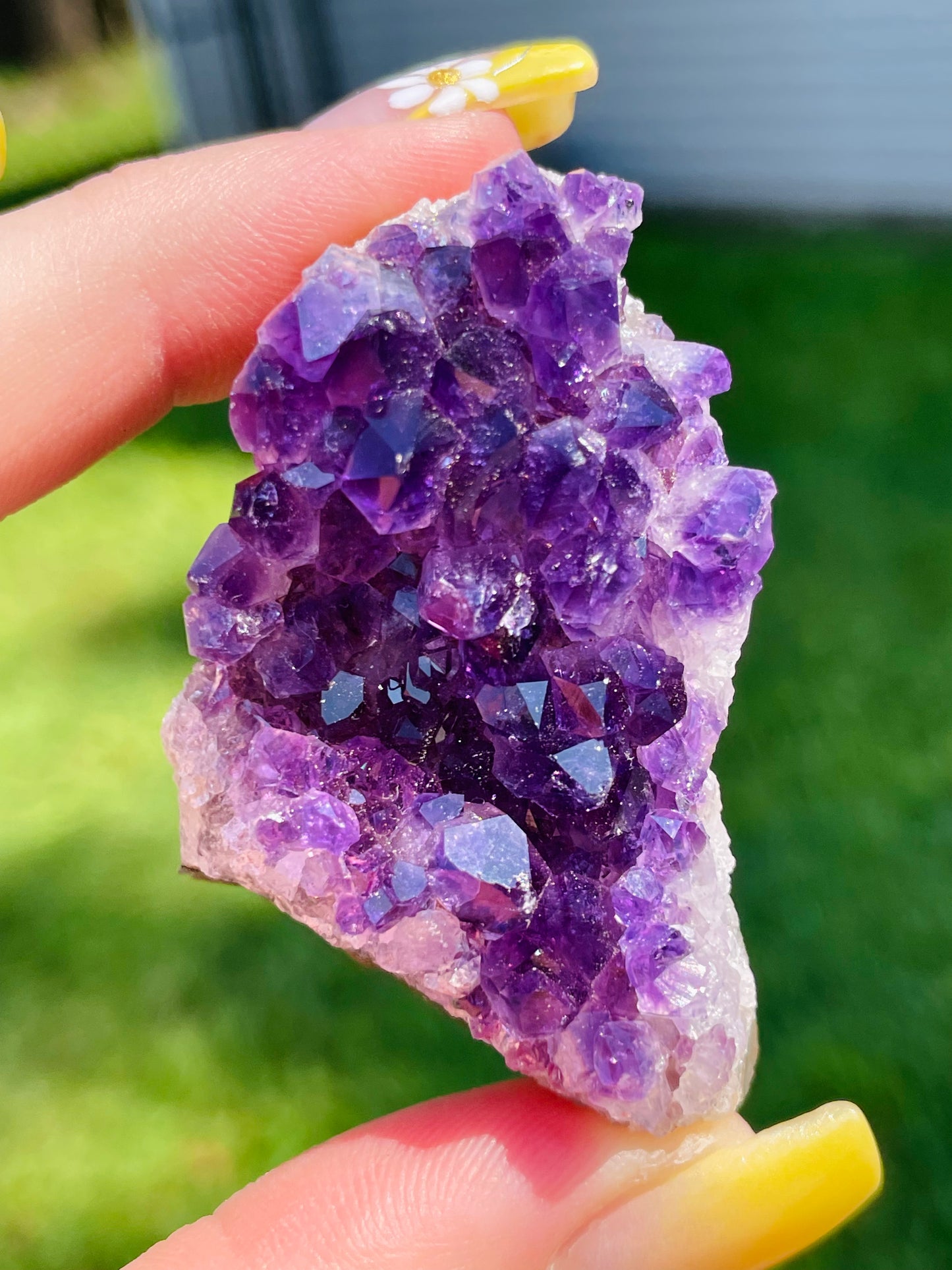 Uruguayan Amethyst Clusters - Small *Multiple Options Available*