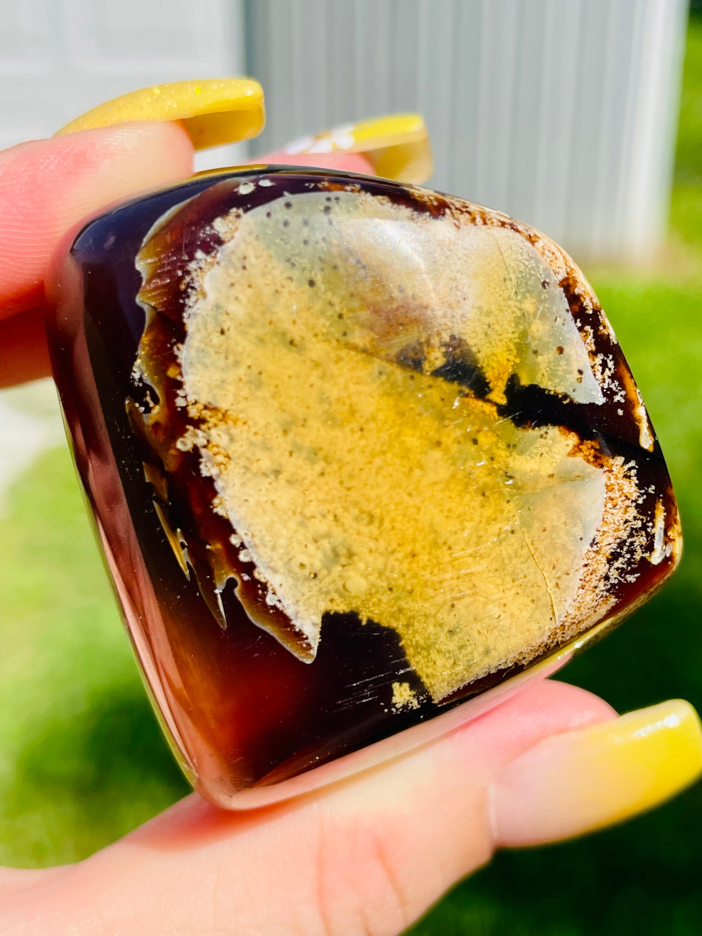 Indonesian Coffee Amber
