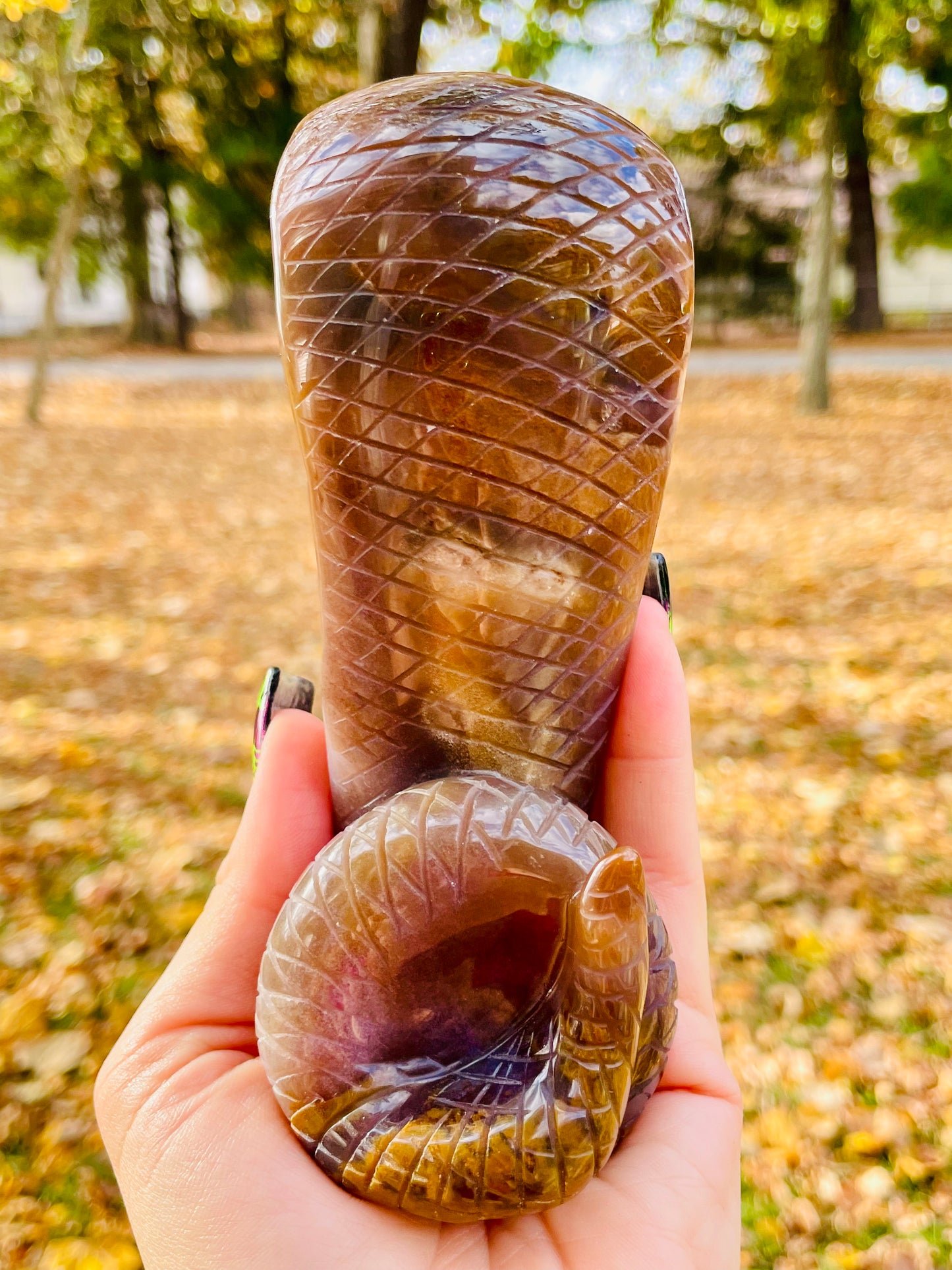 Sunset Jasper & Moss Agate Cobra w/ Druzy Pocket - Large