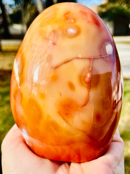 Carnelian with Red Druzy Quartz Freeform