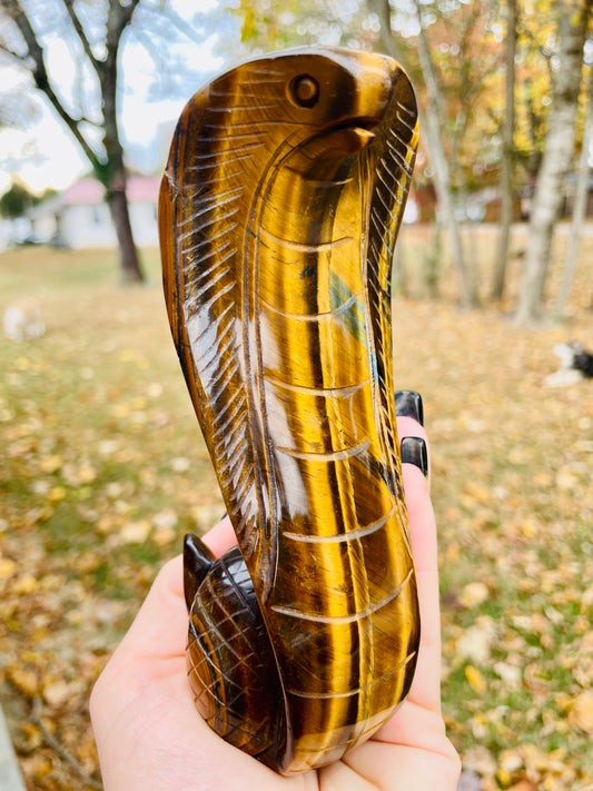 Tigers Eye Cobra - Large