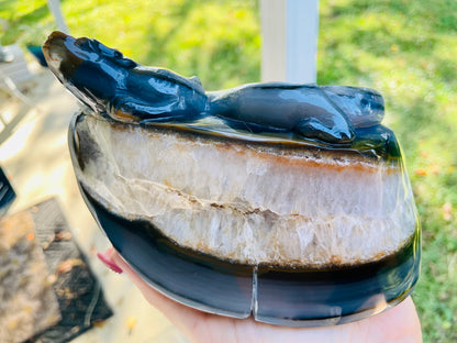 XXL Blue Dendritic Agate Lizard Quartz Geode