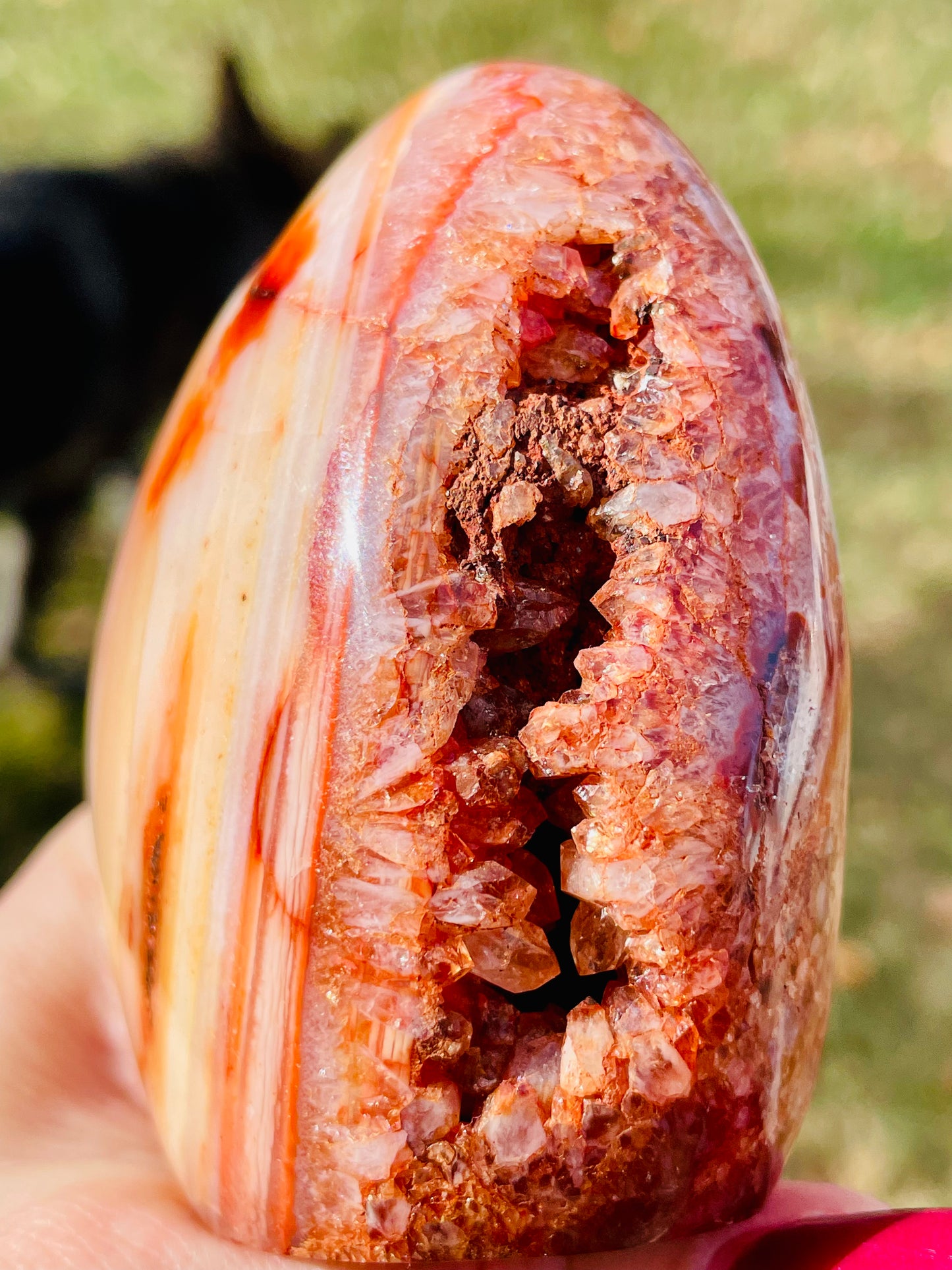 Carnelian with Quartz Seam Freeform