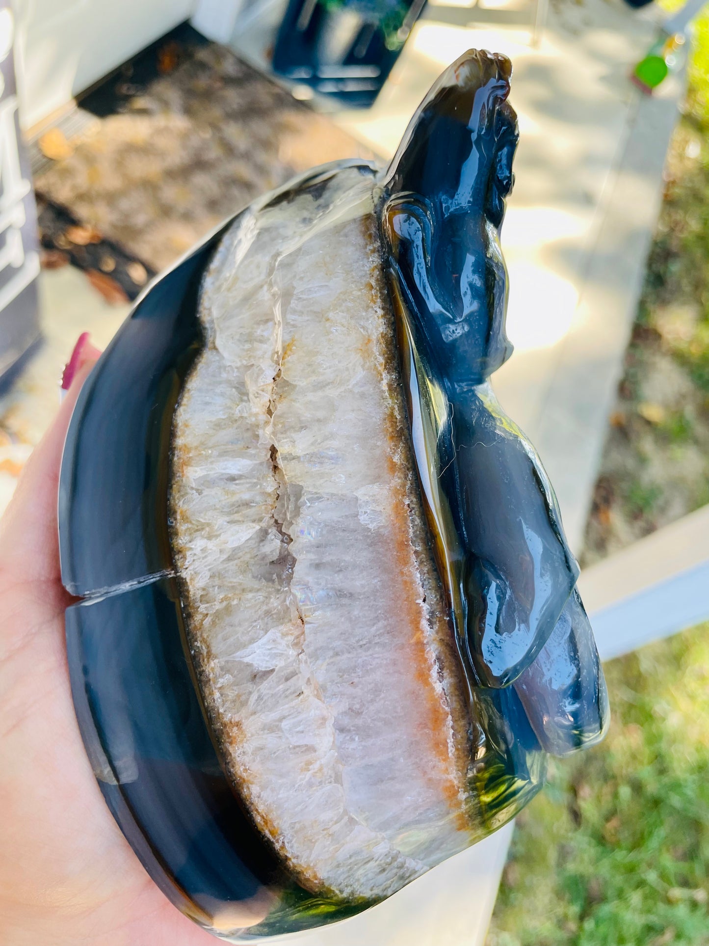 XXL Blue Dendritic Agate Lizard Quartz Geode