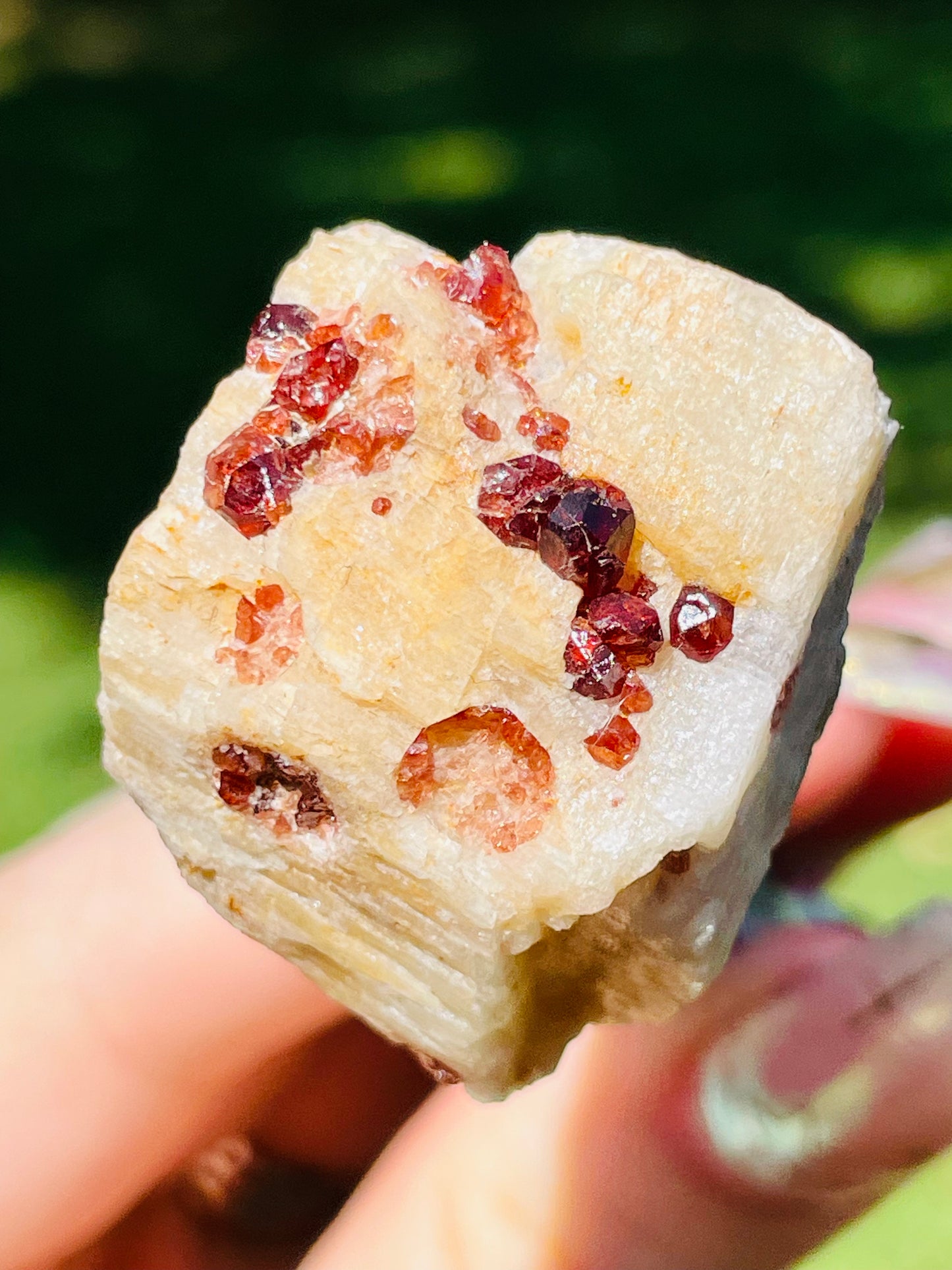 Garnet Cluster - Gilgit, Pakistan