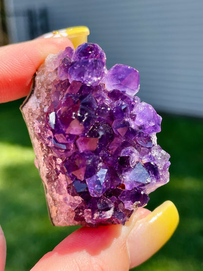 Uruguayan Amethyst Clusters - Small            *Multiple Options Available*