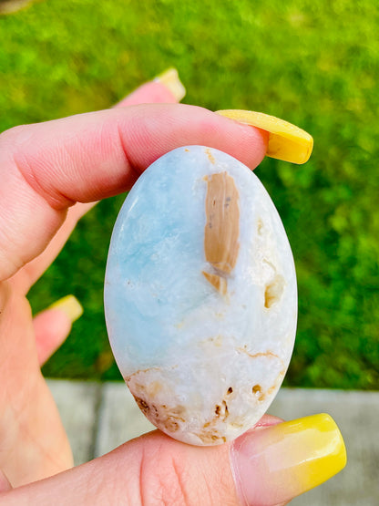 Caribbean Calcite Palmstones *Multiple Options Available*