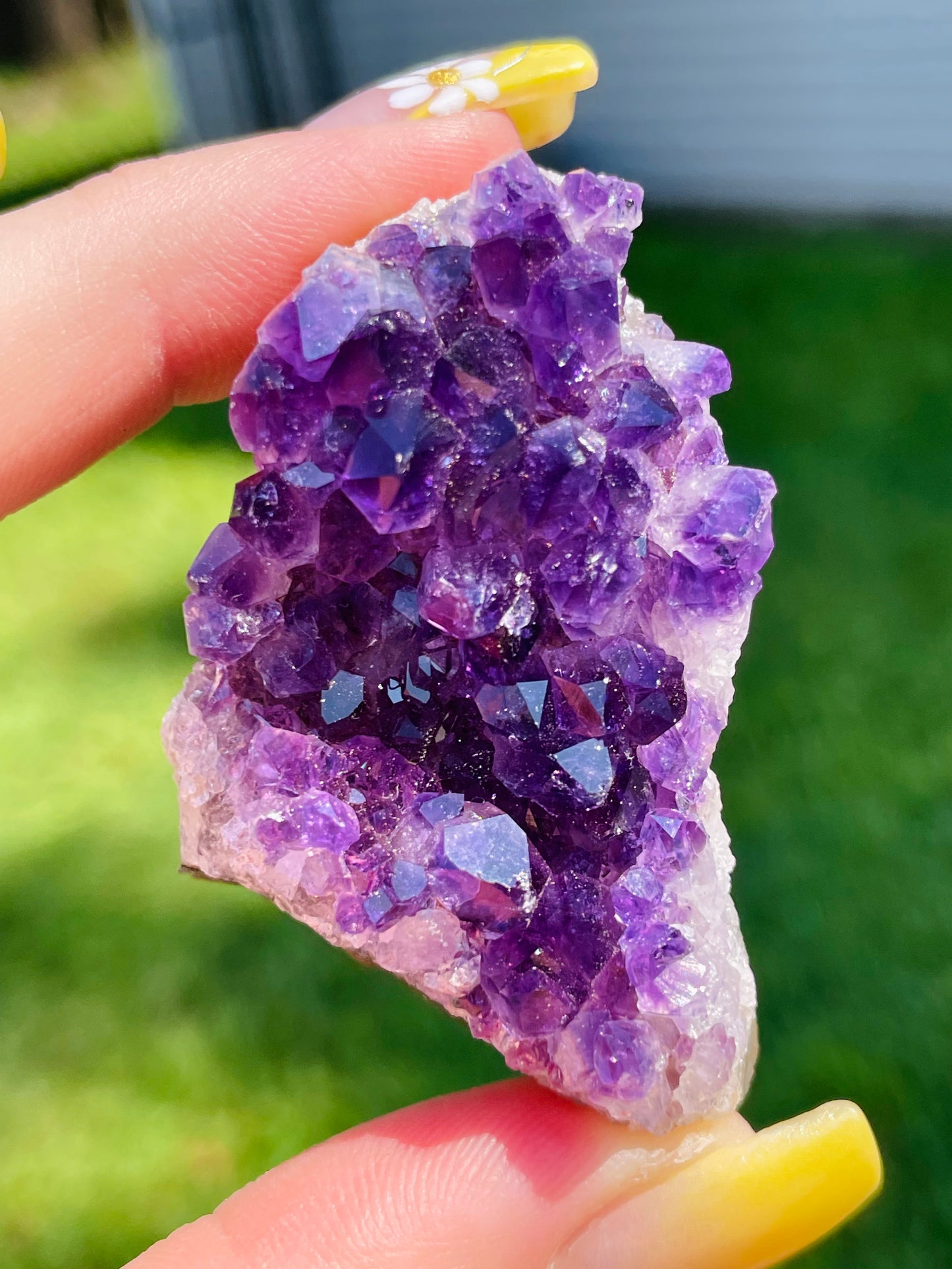 Uruguayan Amethyst Clusters - Small            *Multiple Options Available*