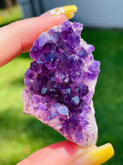 Uruguayan Amethyst Clusters - Small            *Multiple Options Available*