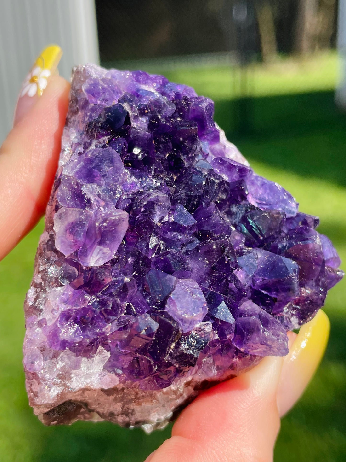 Uruguayan Amethyst Clusters - Small/Medium           *Multiple Options Available*